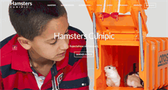 Desktop Screenshot of hamstersmascotas.com